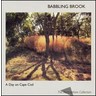Babbling Brook cover