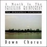 Dawn Chorus cover