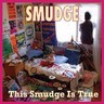 This Smudge Is True cover