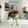Grinderman 2 (Limited Edition) cover