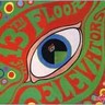 The Psychedelic Sounds of the 13th Floor Elevators (2CD) cover