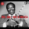 B.B. King & The Kings Of The Electric Blues cover