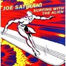 Surfing With The Alien (LP) cover