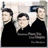 Smetana: Piano trio (with Liszt - Elegies) cover