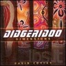 Didgeridoo Dimensions cover
