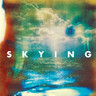Skying (2LP) cover