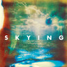 Skying cover