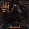 Stormblast (Vinyl) cover