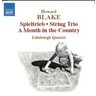 Spieltrieb / String Trio cover