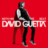 Nothing But the Beat (Vinyl) cover