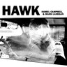 Hawk (LP) cover