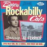 Bayou Rockabilly Cats cover