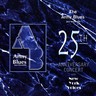 25th Anniversary Concert cover