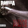 Vulgar Display of Power (Deluxe Edition) cover