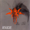 Exile (Grey, 180 Gram Audiophile Vinyl Edition) cover