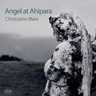 Angel at Ahipara cover