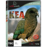 Kea: Mountain Parrot (Wild South) cover