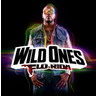 Wild Ones cover