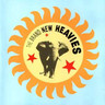 The Brand New Heavies (180 Gram Audiophile Vinyl Edition) cover