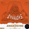 Awakening (Vinyl) cover