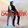 Nothing But the Beat 2.0 cover