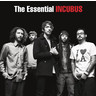 The Essential Incubus cover
