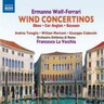 Wind Concertinos cover
