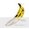 The Velvet Underground & Nico (45th Anniversary Deluxe Edition)(2CD) cover