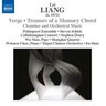 Lei Liang: Verge & Tremors of a Memory Chord cover
