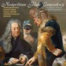 Neapolitan Flute Concertos, Vol. 2 cover
