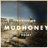 Vanishing Point (LP) cover