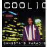 Gangsta's Paradise 25th Anniversary (LP) cover