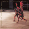 Rhythm Of The Saints (LP) cover