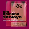 Om Namaha Shivaya cover
