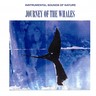 Journey Of The Whales cover