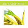 The Rainforest cover