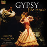 Gypsy Flamenco cover
