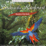 Birds In The Rainforest cover