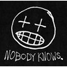 Nobody Knows (Double LP) cover