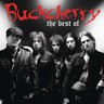 The Best Of Buckcherry cover