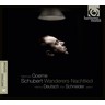 Matthias Goerne Schubert Edition 8: Wanderers Nachtlied cover