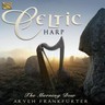 Celtic Harp cover