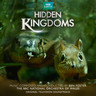 Hidden Kingdoms: Ben Foster Radiophonic cover