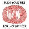 Burn Your Fire For No Witness cover