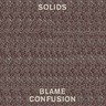 Blame Confusion cover