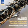 30 Capriccios for Clarinet & 3 Duos cover