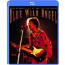 Blue Wild Angel: Live at the Isle of Wight cover