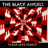 Clear Lake Forest cover