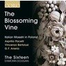 The Blossoming Vine: Italian Maestri in Poland cover