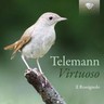 Telemann: Virtuoso cover